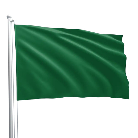 Steag verde de start