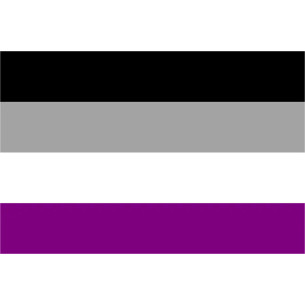 Steag Asexual Pride 2