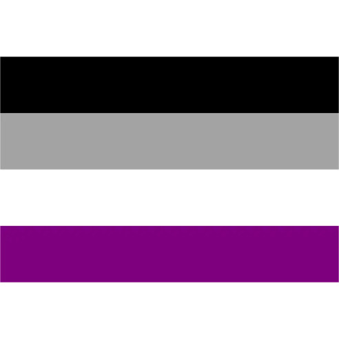 Steag Asexual Pride