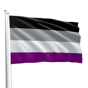 Steag Asexual Pride