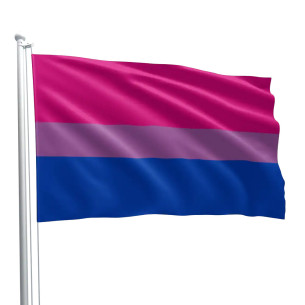 Steag Bisexual Pride