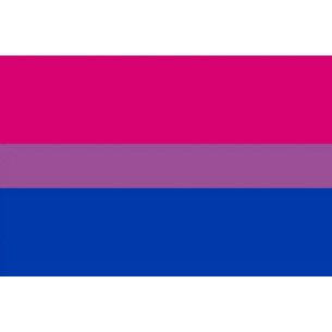 Steag Bisexual Pride 2