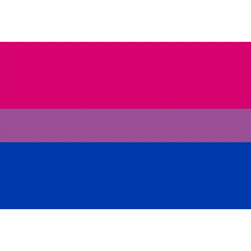 Steag Bisexual Pride