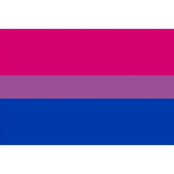 Steag Bisexual Pride