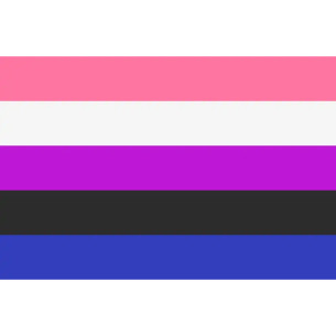 Steag Genderfluid Pride 2