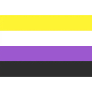 Steag Nonbinary Pride 2