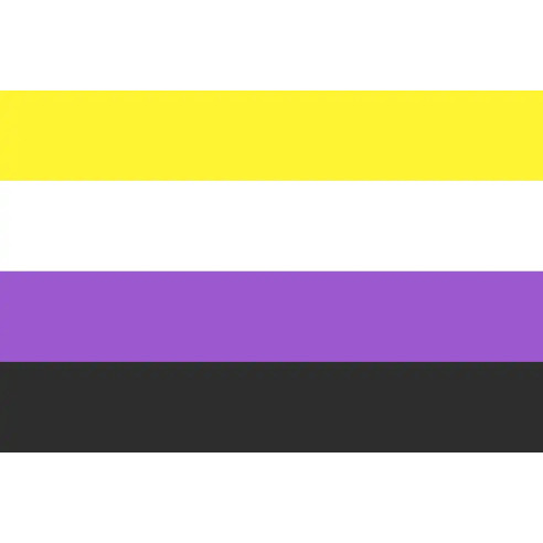 Steag Nonbinary Pride