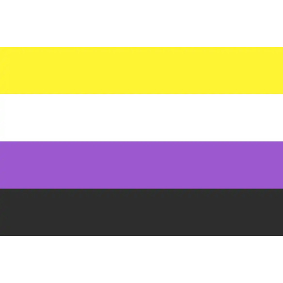 Steag Nonbinary Pride