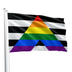 Steag Straight Allies Pride