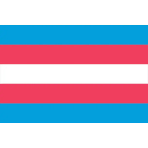 Steag Trans Pride 2