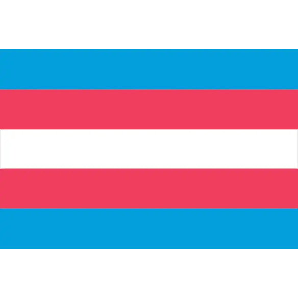Steag Trans Pride