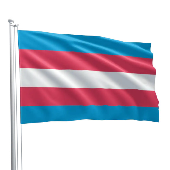 Steag Trans Pride