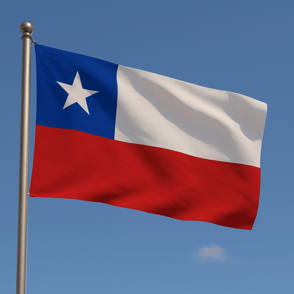 Steag Chile
