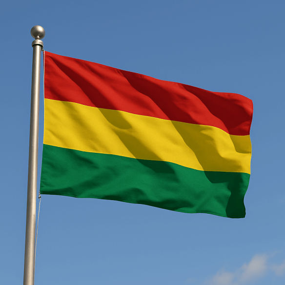 Steag Bolivia