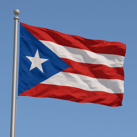 Steag Puerto Rico