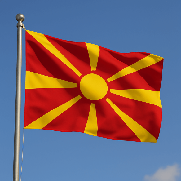 Steag Macedonia de Nord