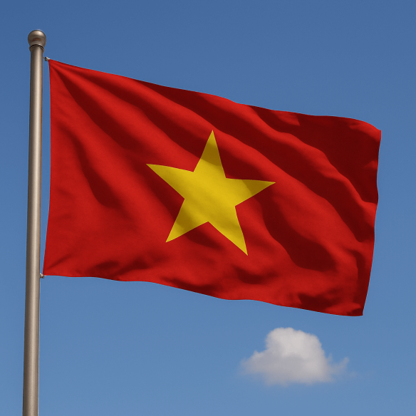 Steag Vietnam