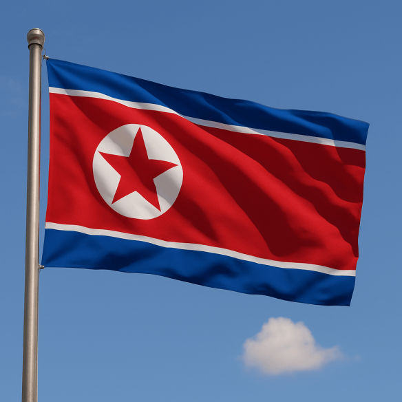 Steag Coreea de Nord