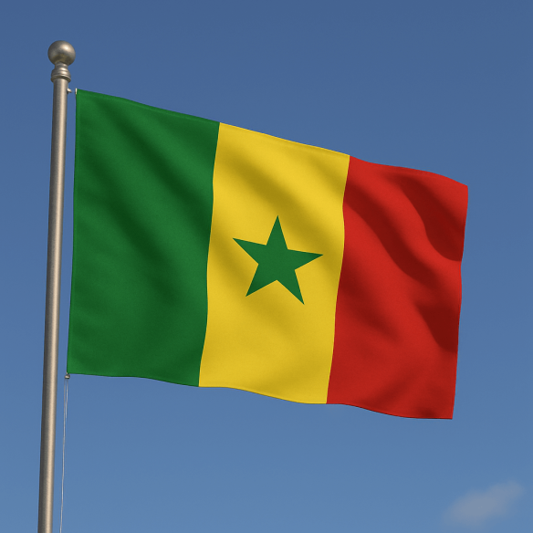 Steag Senegal