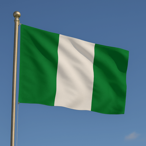 Steag Nigeria