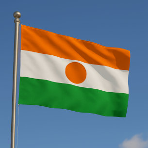 Steag Niger
