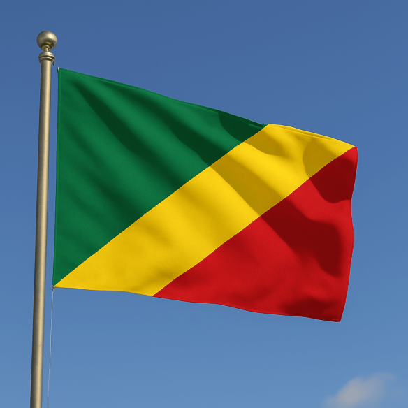 Steag Congo