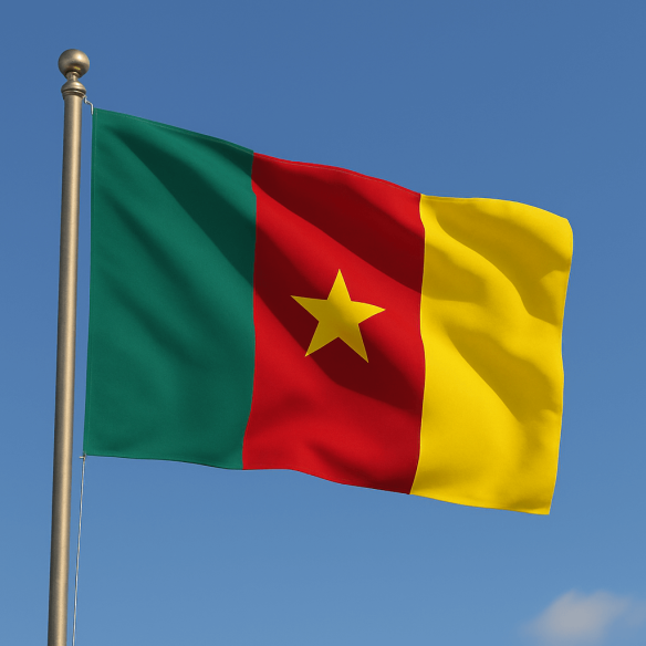 Steag Camerun