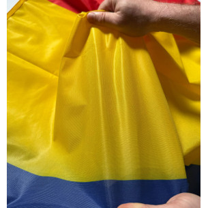 Steag Romania 2