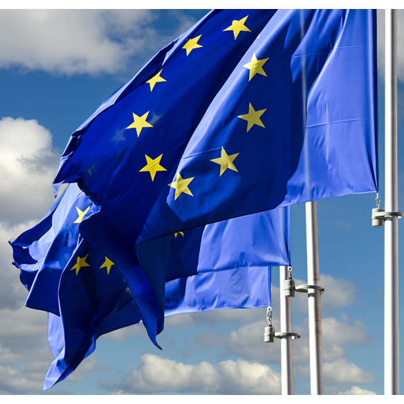 Steag UE | Fabricat in Romania | Steag.ro