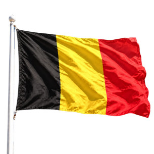 Steag Belgia | Fabricat in Romania | Steag.ro