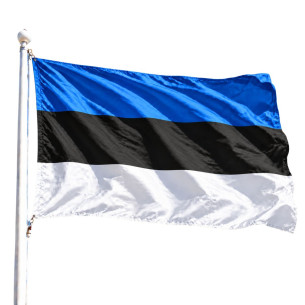 Steag Estonia | Fabricat in Romania | Steag.ro