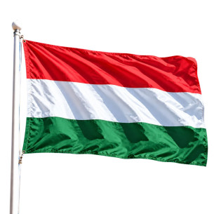 Steag Ungaria | Fabricat in Romania | Steag.ro