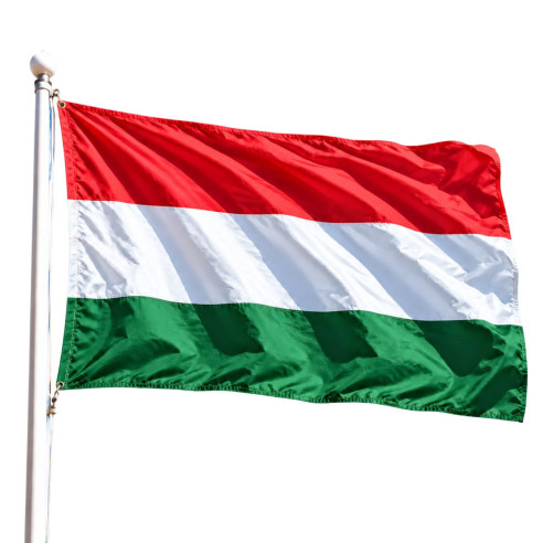 Steag Ungaria | Fabricat in Romania | Steag.ro