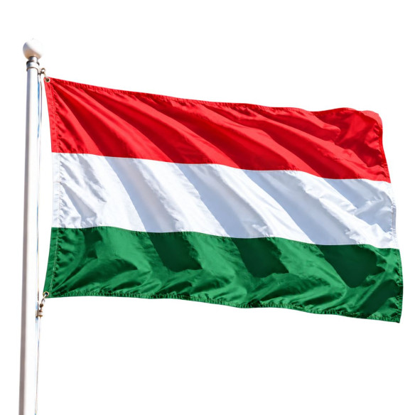 Steag Ungaria | Fabricat in Romania | Steag.ro