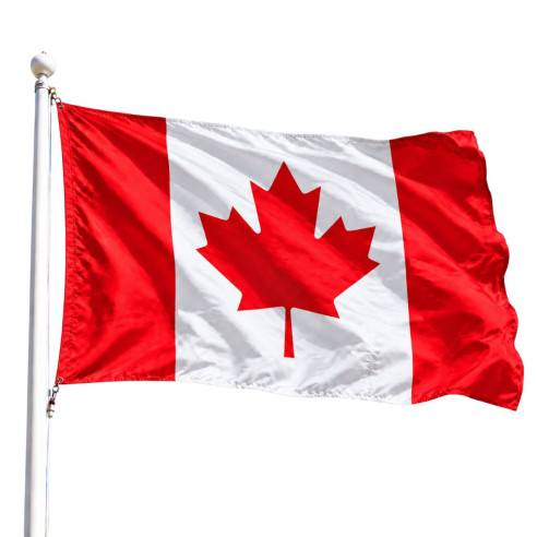 Steag Canada | Fabricat in Romania | Steag.ro
