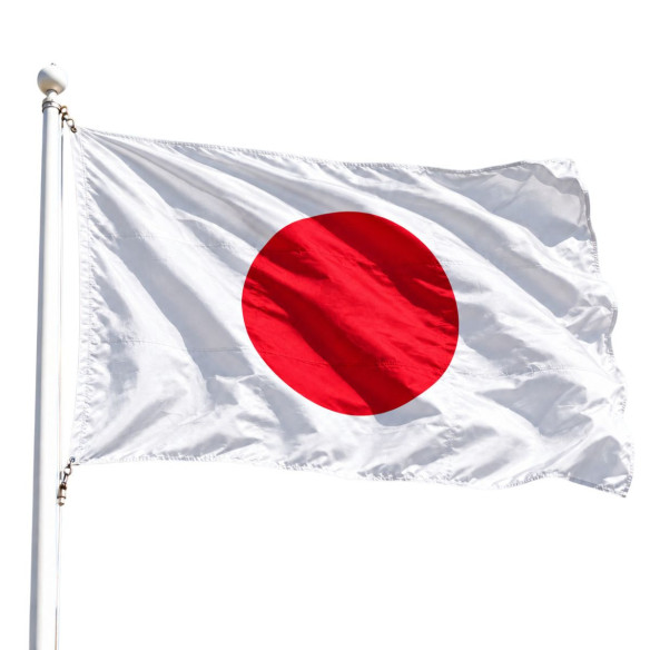 Steag Japonia | Fabricat in Romania | Steag.ro