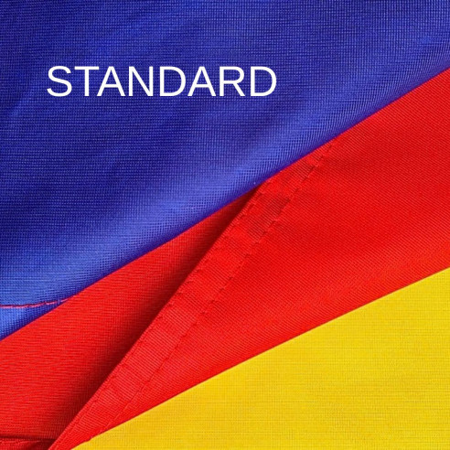 Steag Romania | Fabricat in Romania | Steag.ro