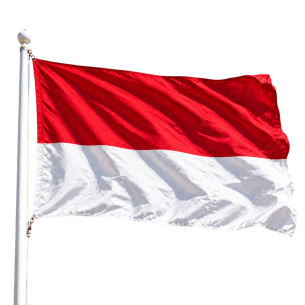 Steag Indonezia | Fabricat in Romania | Steag.ro