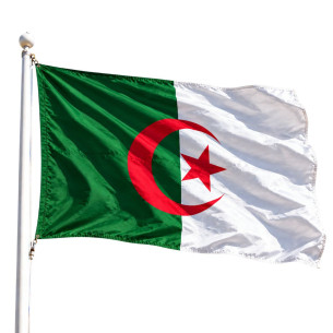 Steag Algeria | Fabricat in Romania | Steag.ro