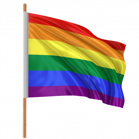 Steag LGBT montaj lance