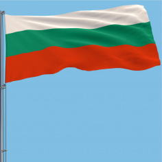 steaguri în opțiuni)