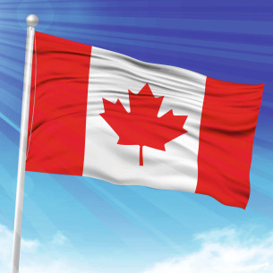 Steag Canada | Fabricat in Romania | Steag.ro