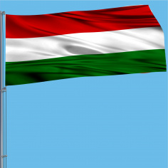 Steag Ungaria