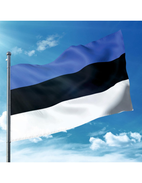 Steag Estonia