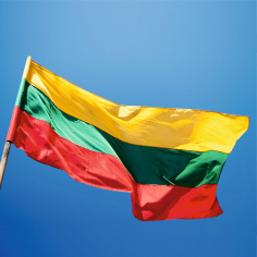 Steag Lituania