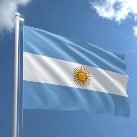 Steag Argentina