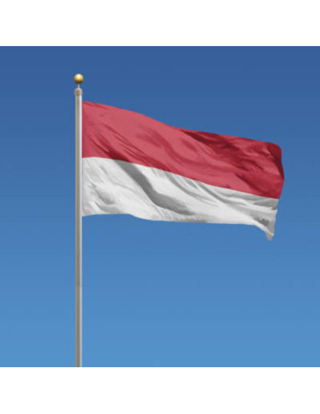 Steag Indonezia