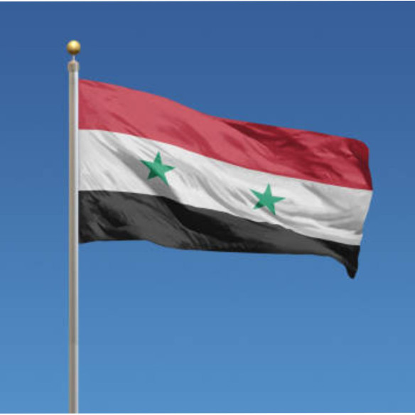 Steag Siria
