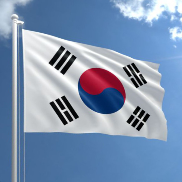 Steag Coreea de Sud