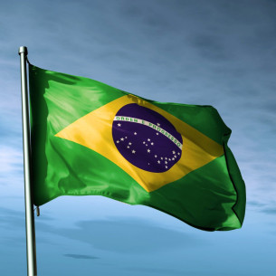 Steag Brazilia
